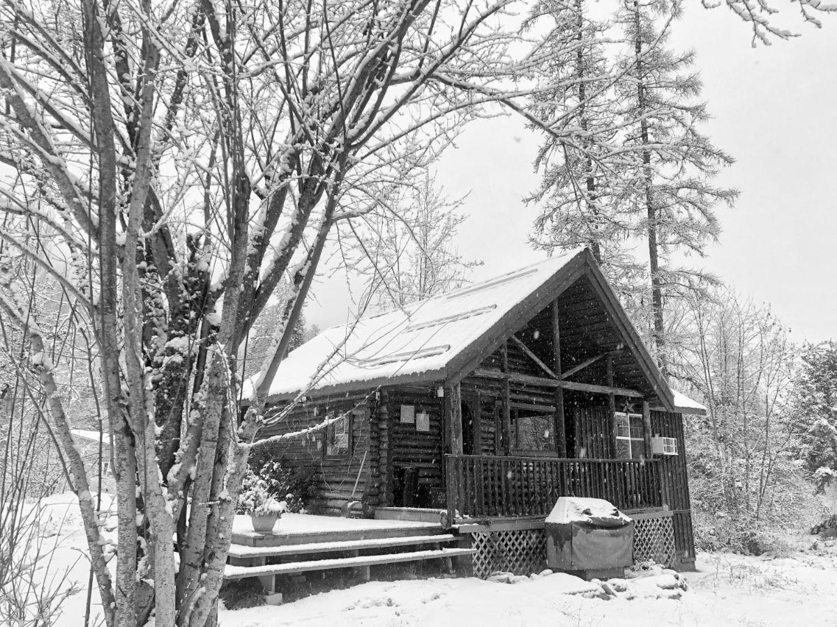 Morning Star Log Cabin ネルソン エクステリア 写真
