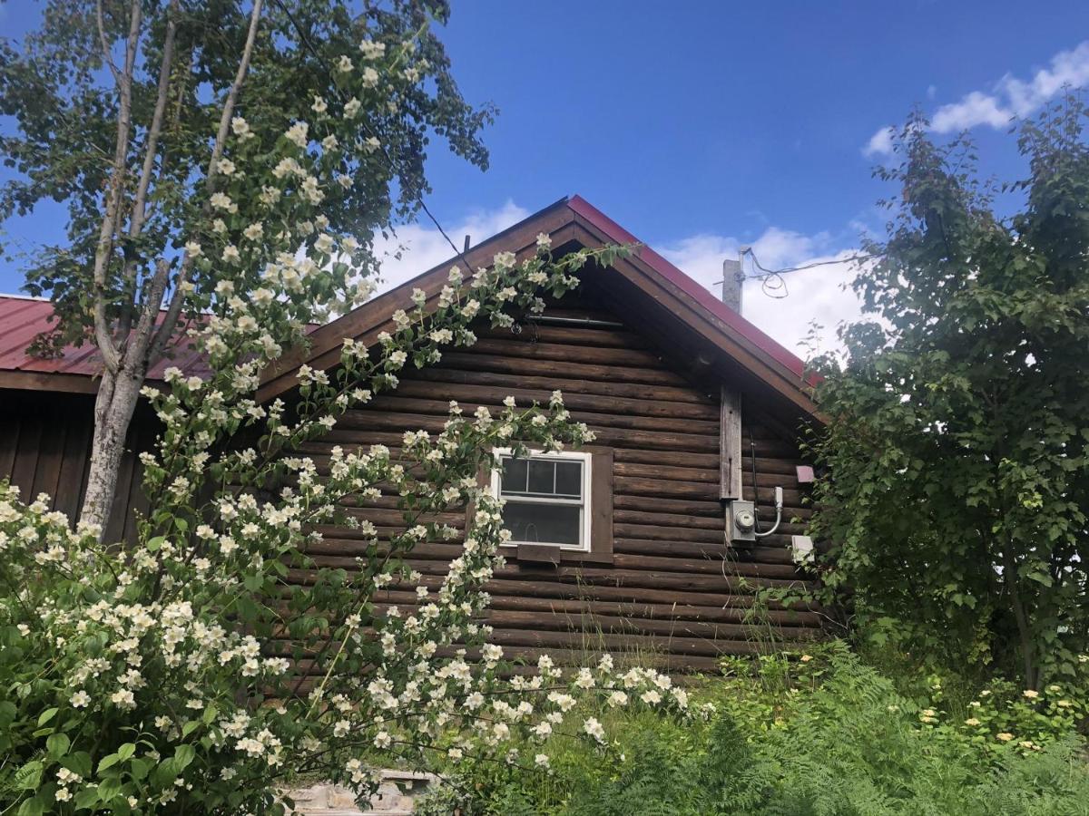Morning Star Log Cabin ネルソン エクステリア 写真