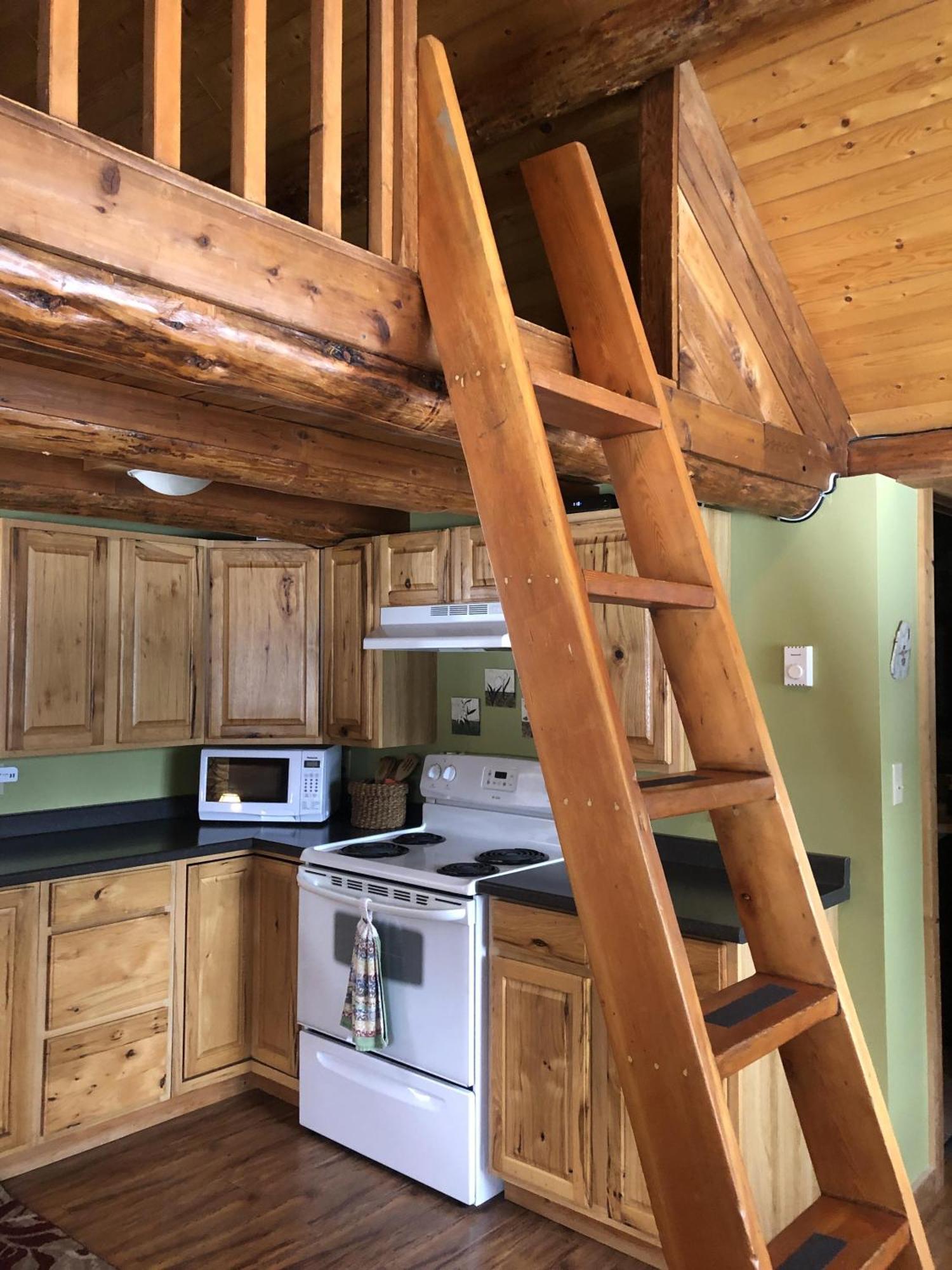 Morning Star Log Cabin ネルソン エクステリア 写真