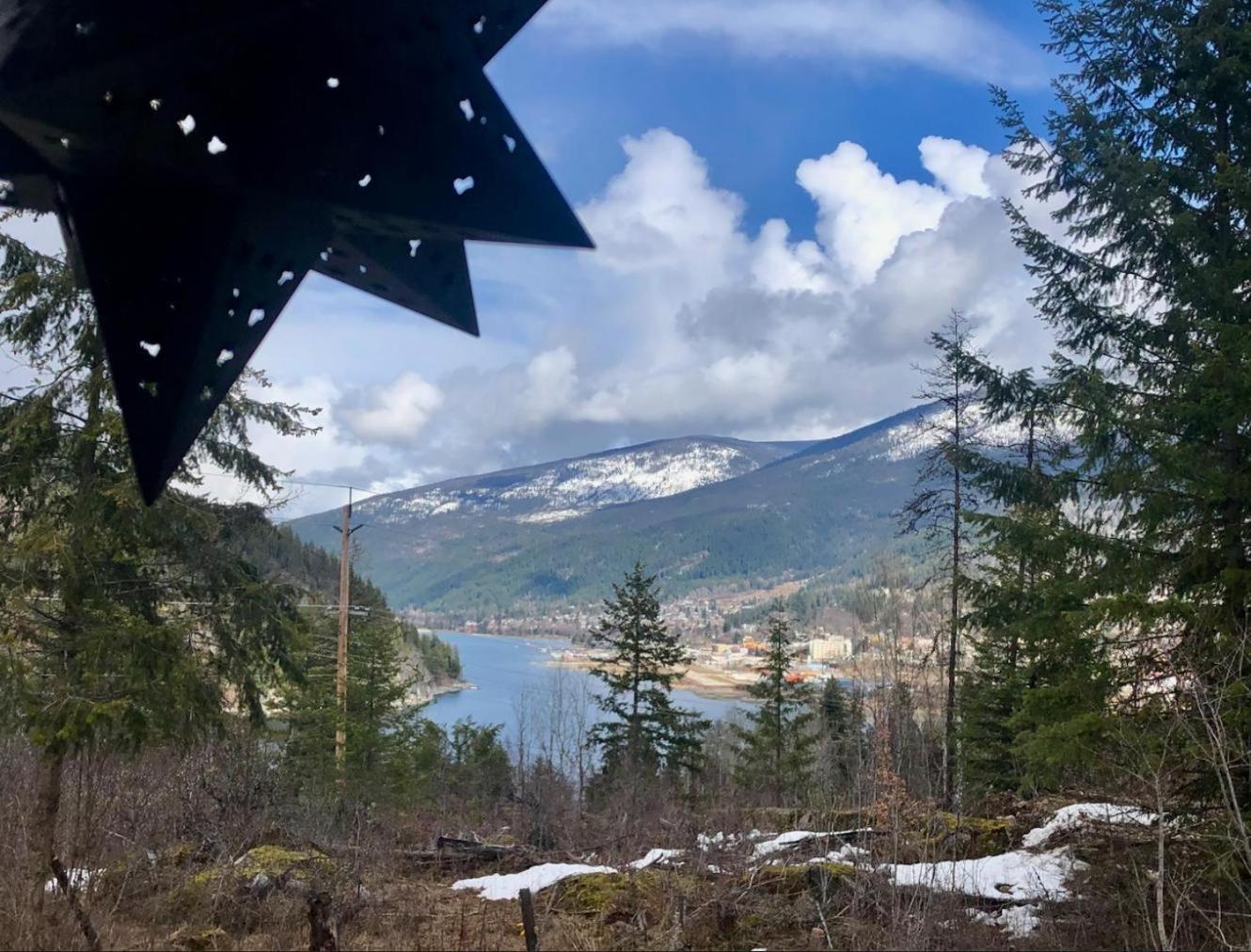 Morning Star Log Cabin ネルソン エクステリア 写真