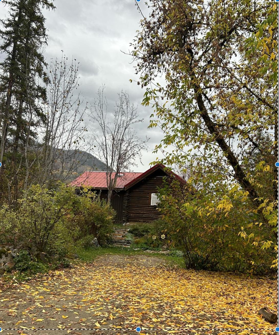Morning Star Log Cabin ネルソン 部屋 写真